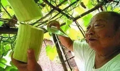 吃砍瓜的十大忌讳视频,揭秘吃瓜不翻车的注意事项