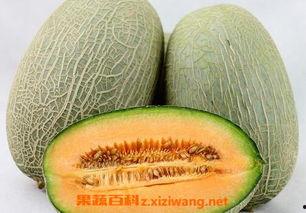 小徐一家吃哈密瓜视频大全,视频大全回顾