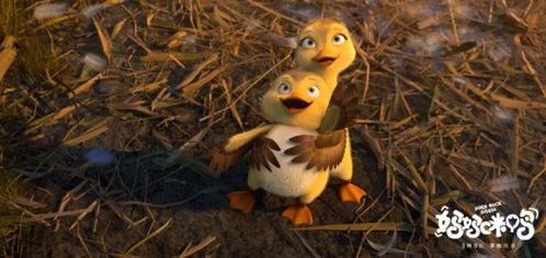 小杨哥吃瓜小黄鸭视频