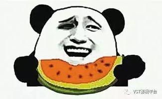 群众吃生瓜视频大全,群众自制视频大全展示独特风味