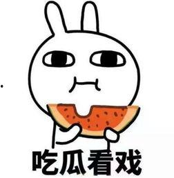 吃瓜视频专插本,专插本背后的那些事儿