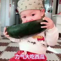 吃瓜的小孩子视频,吃瓜小孩子的欢乐瞬间