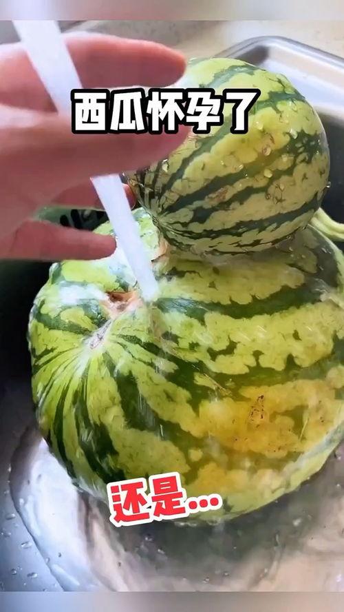 买瓜吃瓜搞笑视频合集,买瓜吃瓜搞笑视频合集欢乐盛宴