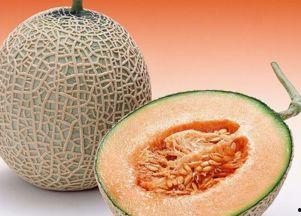 名媛吃哈密瓜视频大全,哈密瓜美食盛宴视频大盘点
