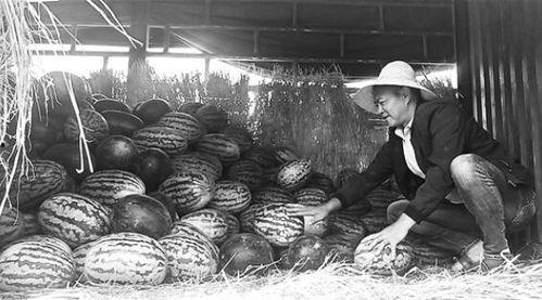 泗水吃瓜群众事件真相视频,真相视频曝光背后的故事