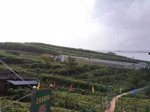 太白湖区吃瓜事件视频