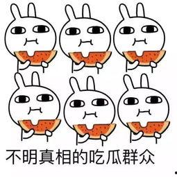 小朱吃瓜视频,揭秘娱乐圈幕后故事