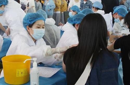 学生家长吃瓜视频大全,揭秘校园生活幕后趣闻