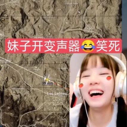 小团团头像吃瓜视频大全,笑料百出，欢乐无限