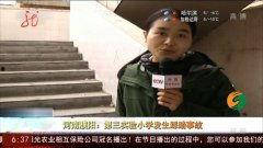 濮阳县吃瓜事件始末视频,一场网络舆论的风波与反思