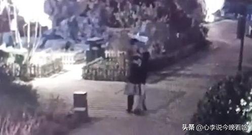 贵州最新吃瓜事件视频完整版,视频揭秘惊人真相