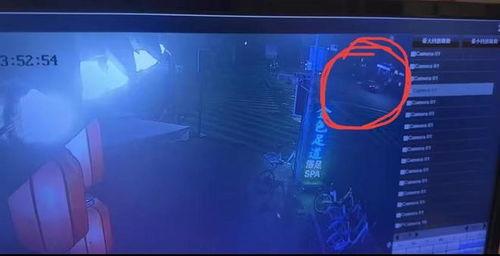 吃瓜酒吧现场视频,吃瓜酒吧狂欢夜，精彩瞬间一网打尽