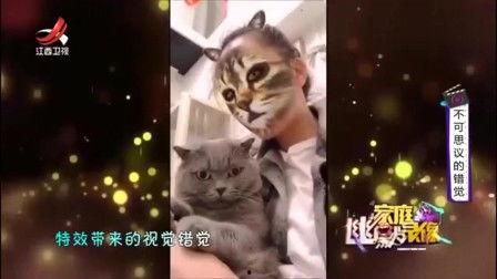 吃瓜博主特效视频素材,揭秘吃瓜博主特效视频背后的秘密