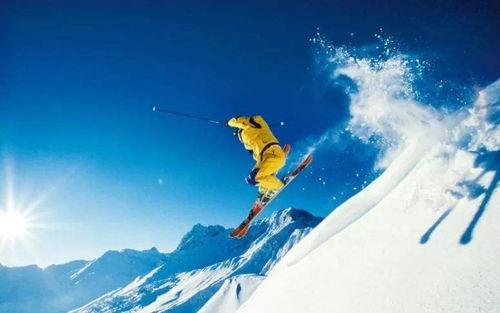 滑雪圈吃瓜视频在线观看