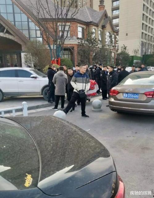 郑州高新区吃瓜事件视频,一场网络热议的瓜田奇谈