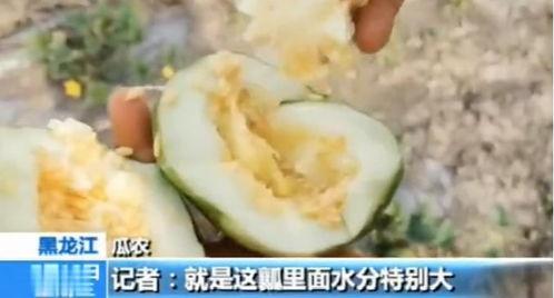 涞水吃瓜事件视频曝光最新,真相大白，网友热议